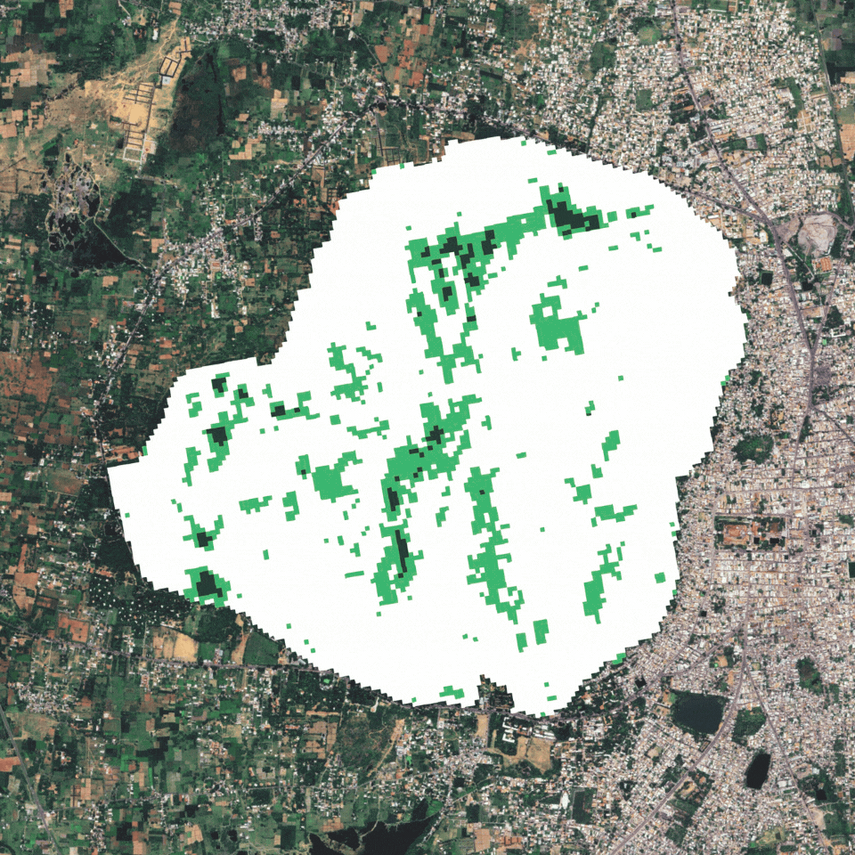 Vegetation Map (2006/2026), Google Earth